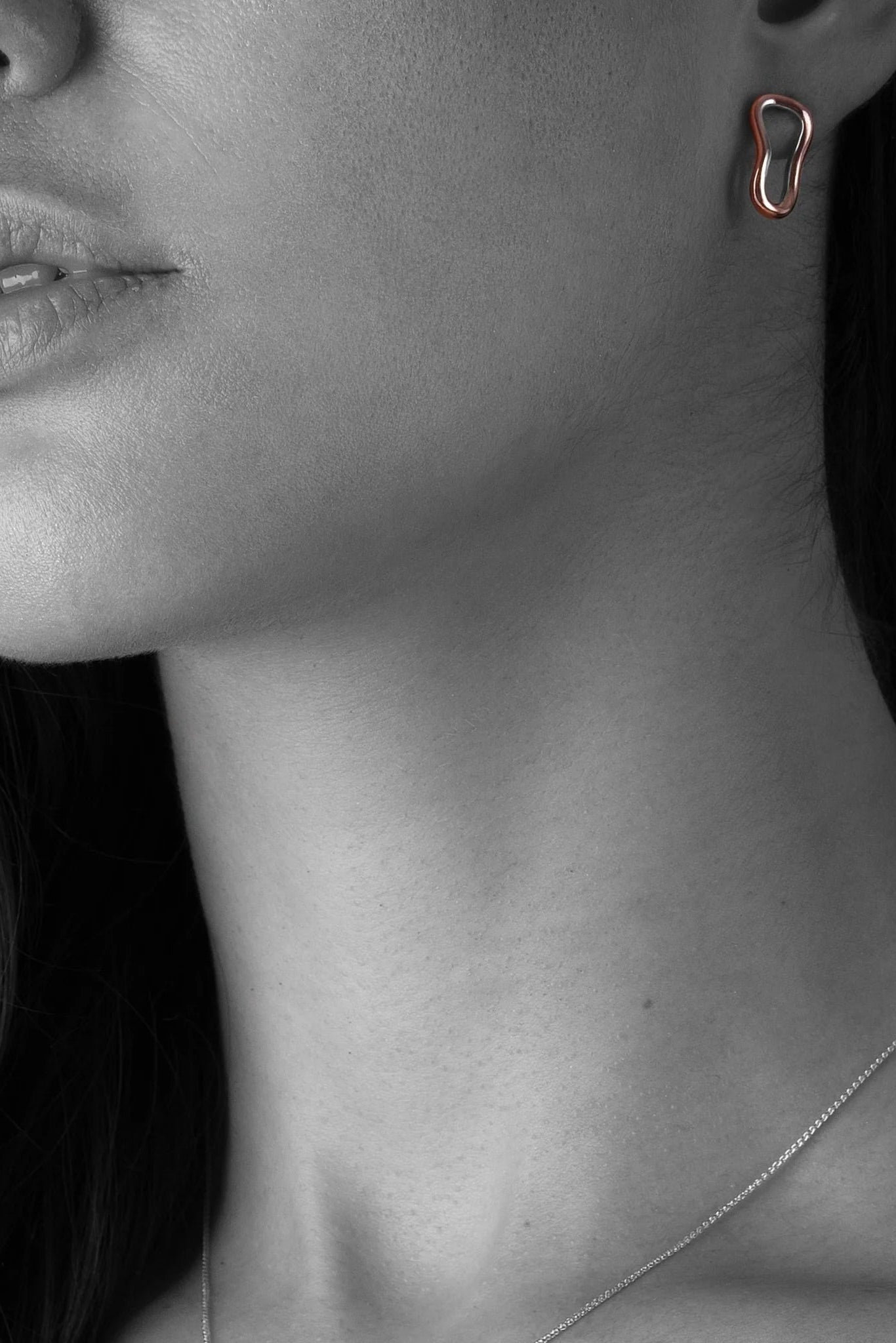 Curves01 Earrings