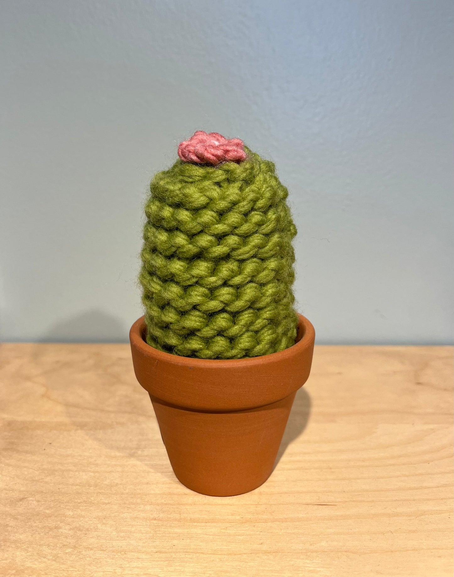 San Pedro Cactus