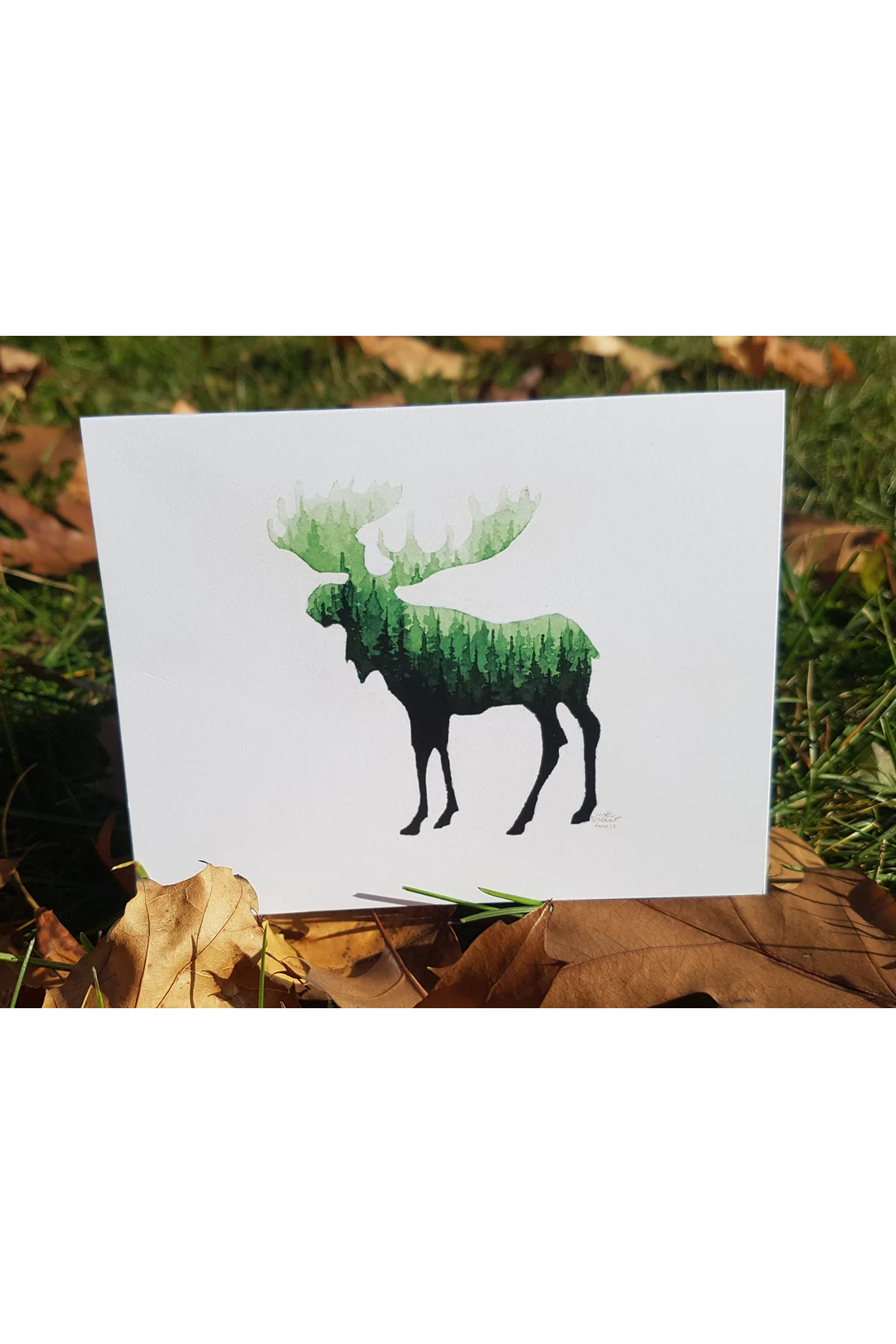 Canadian Wildlife Cards - Silhouettes