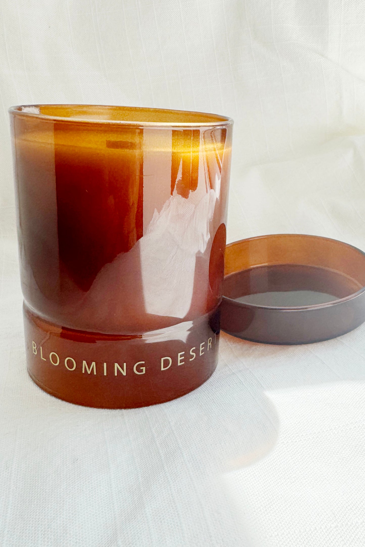 Blooming Desert Candle